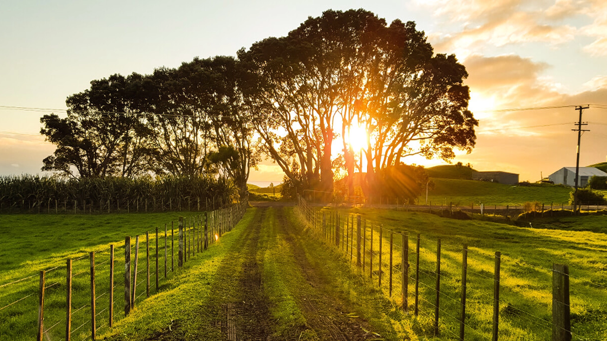 Farm Insurance Agency - Kentucky