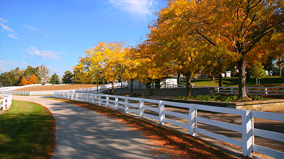 Farm & Agribusiness Insurance - Kentucky