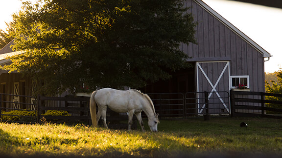 Farm Insurance - Kentucky